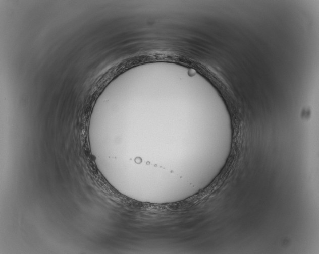X0000115761015200911130955