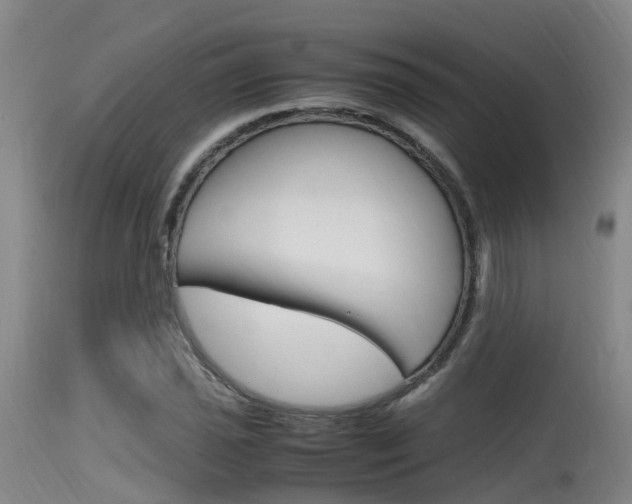 X0000115761021200911130955
