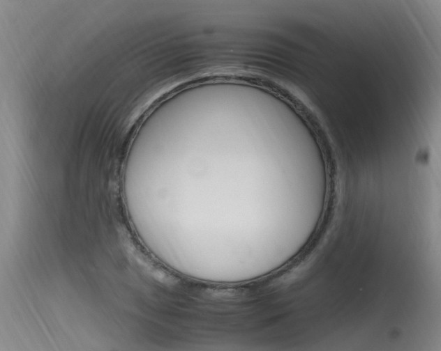 X0000115761025200911130955