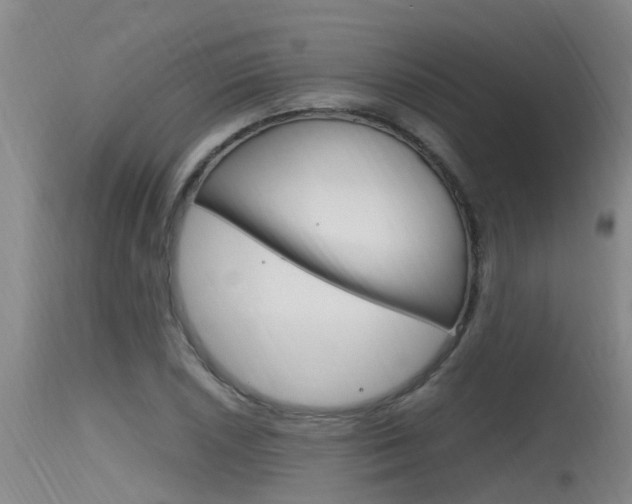 X0000115761026200911130955