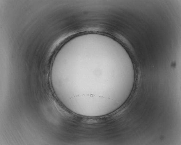 X0000115761027200911130955