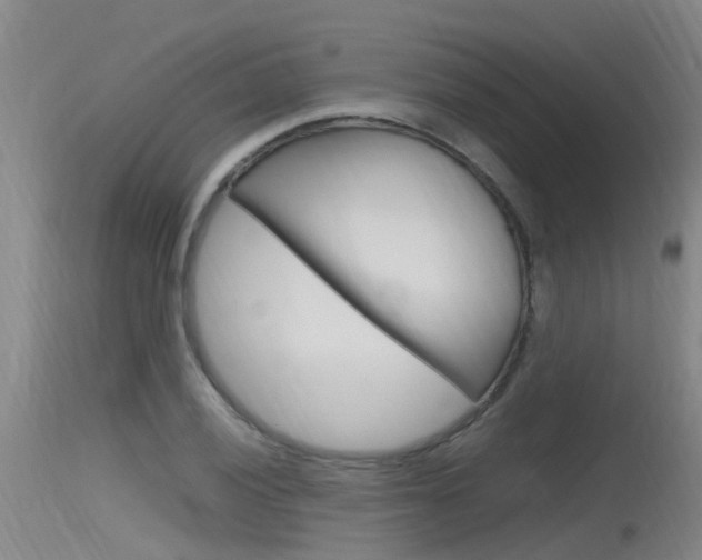 X0000115761028200911130955