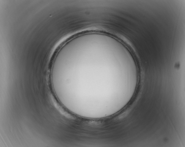 X0000115761029200911130955
