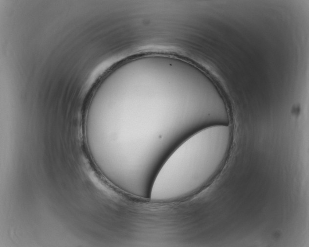 X0000115761030200911130955