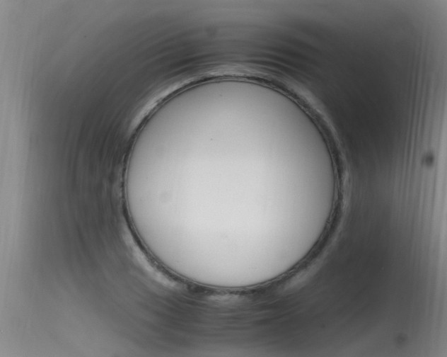 X0000115761033200911130955