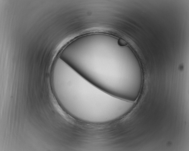 X0000115761034200911130955
