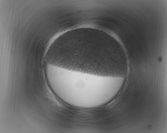 X0000115761035200911130955