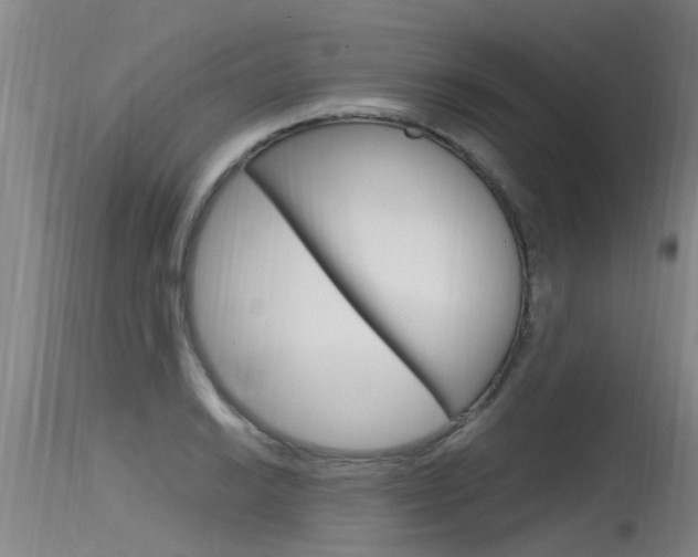X0000115761038200911130955
