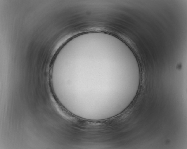 X0000115761039200911130955