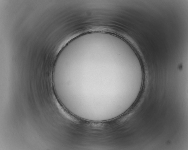 X0000115761041200911130955