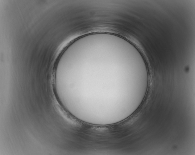 X0000115761043200911130955