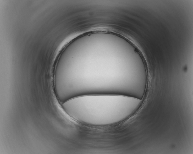 X0000115761045200911130955