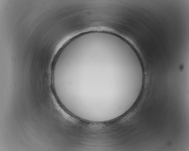X0000115761046200911130955