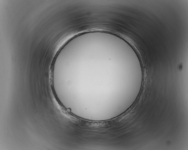 X0000115761047200911130955