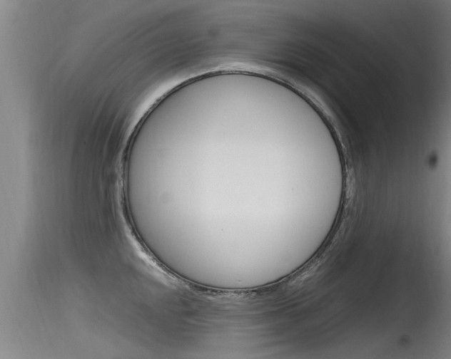 X0000115761048200911130955