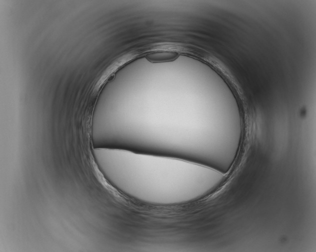 X0000115761049200911130955