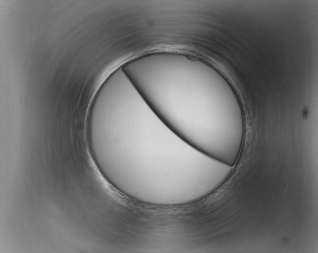 X0000115761050200911130955