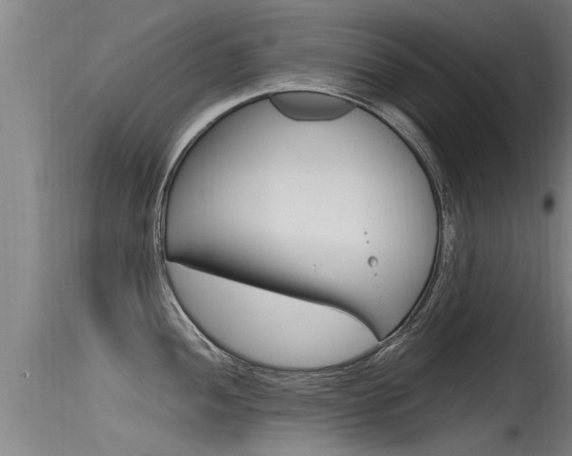 X0000115761052200911130955