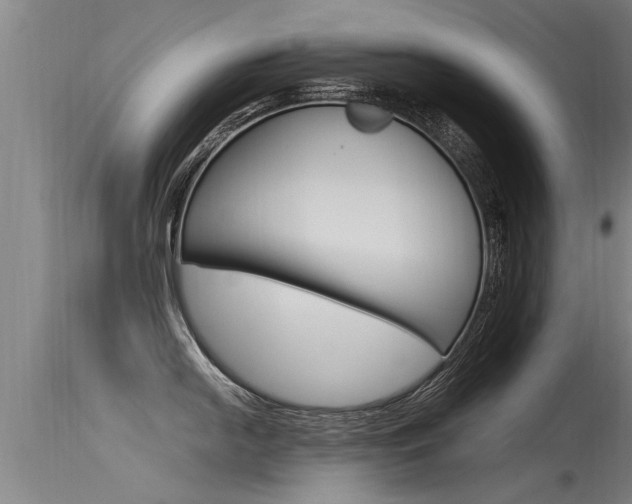 X0000115761054200911130955