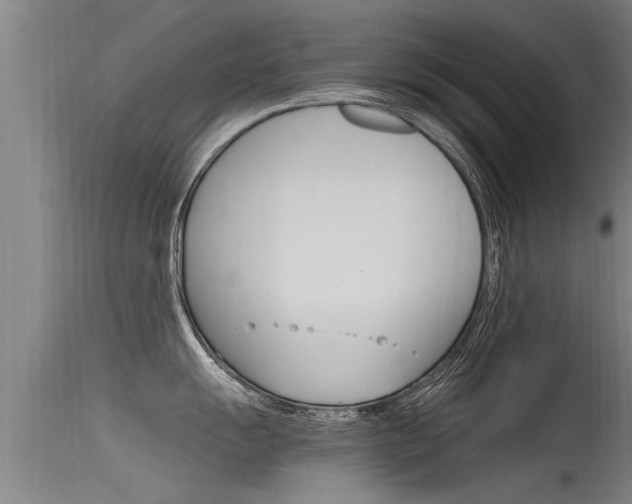 X0000115761055200911130955