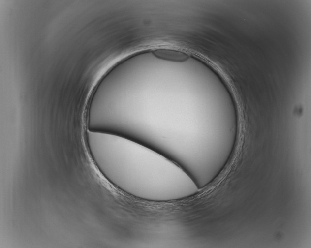 X0000115761056200911130955