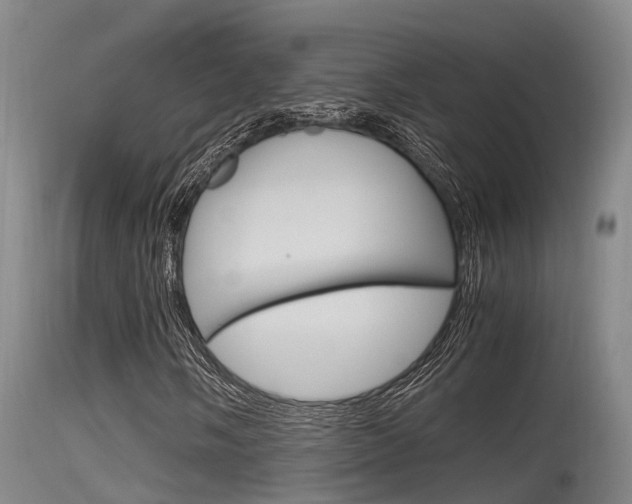 X0000115761058200911130954