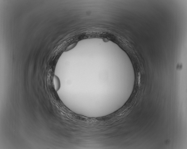 X0000115761059200911130954