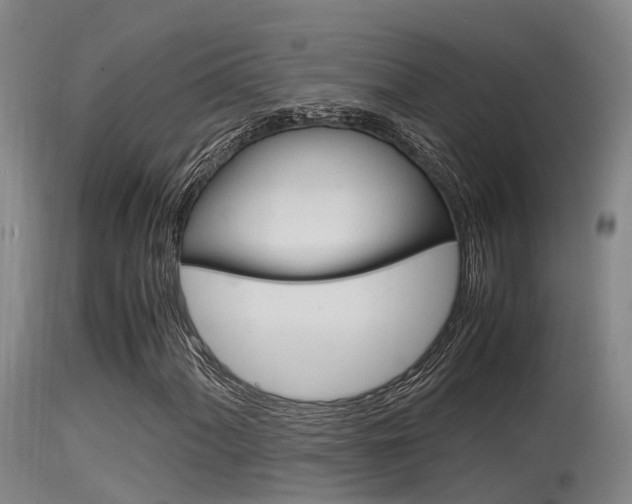 X0000115761060200911130954