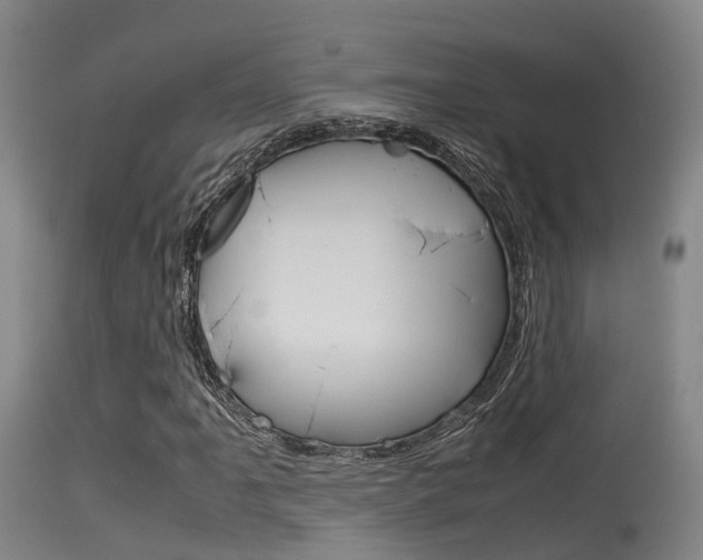 X0000115761061200911130954