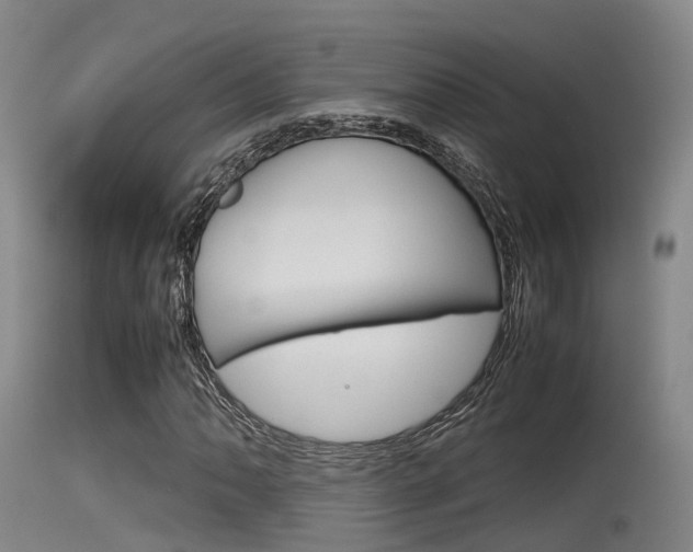 X0000115761062200911130954