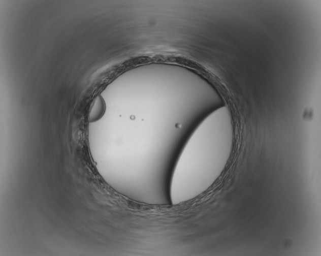 X0000115761063200911130954