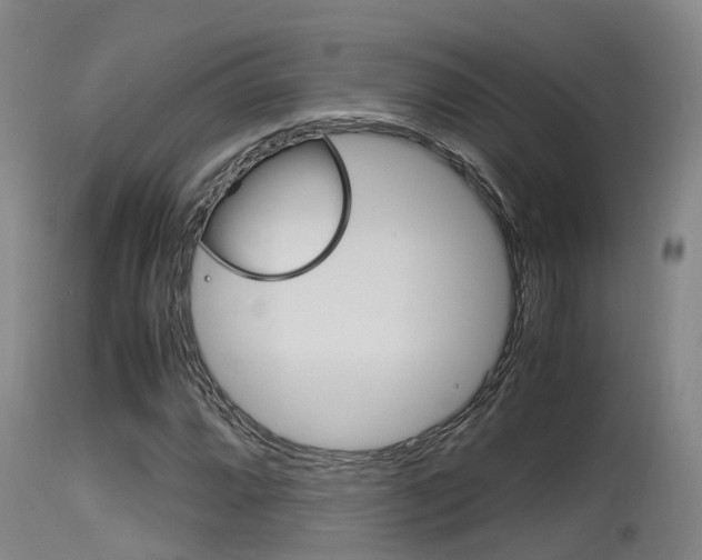 X0000115761064200911130954