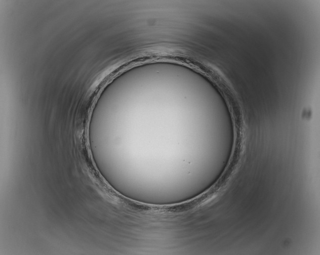 X0000115761065200911130954