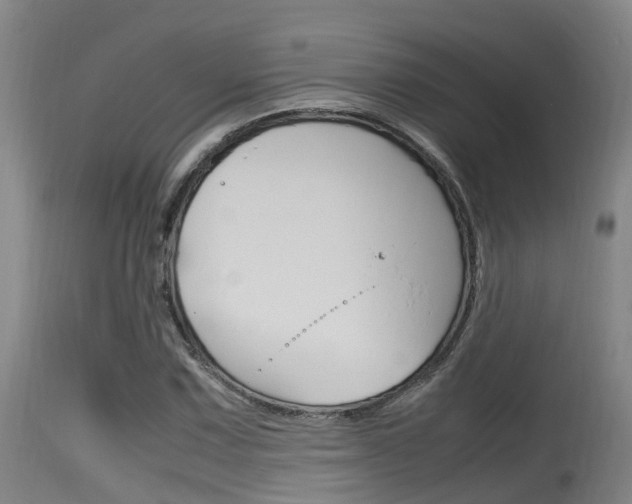 X0000115761067200911130954