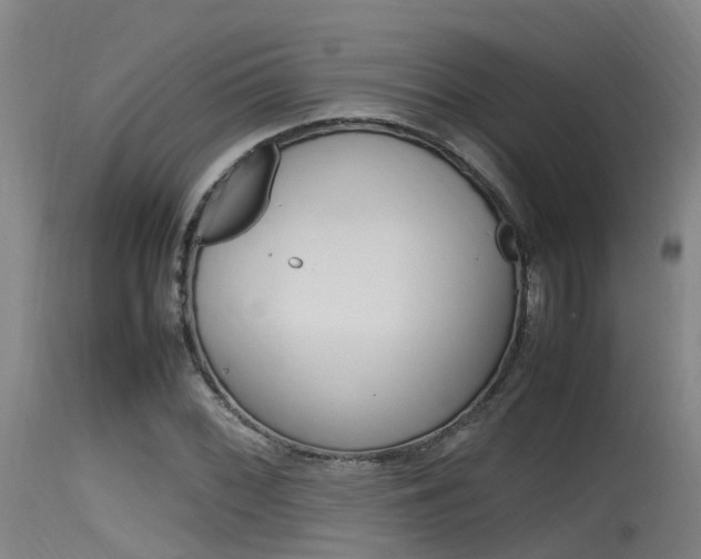 X0000115761068200911130954
