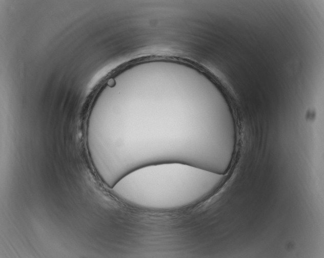 X0000115761070200911130954