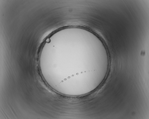 X0000115761071200911130954
