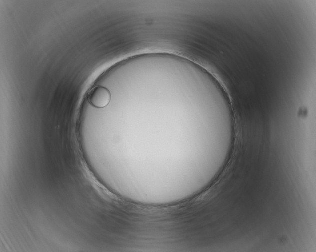 X0000115761072200911130954