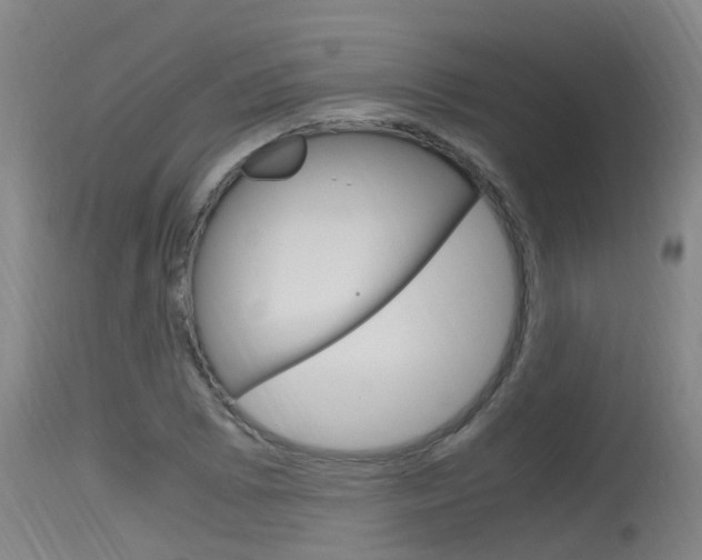 X0000115761073200911130954
