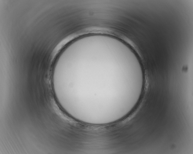 X0000115761074200911130954