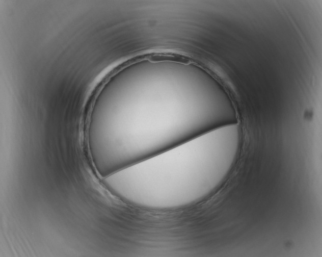 X0000115761076200911130954