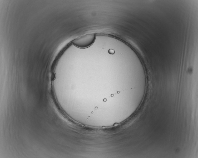 X0000115761079200911130954