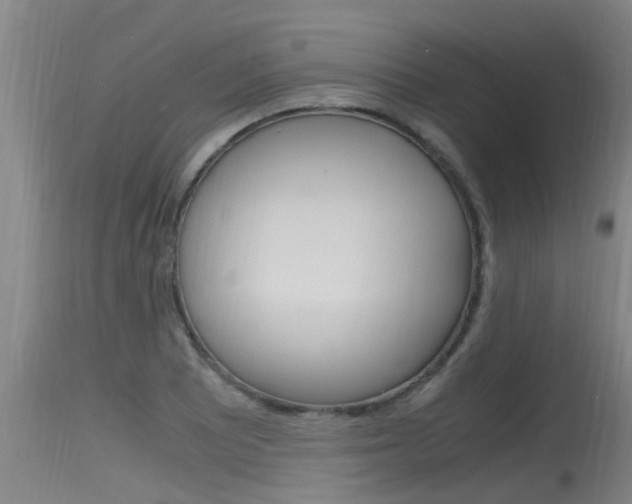 X0000115761081200911130954