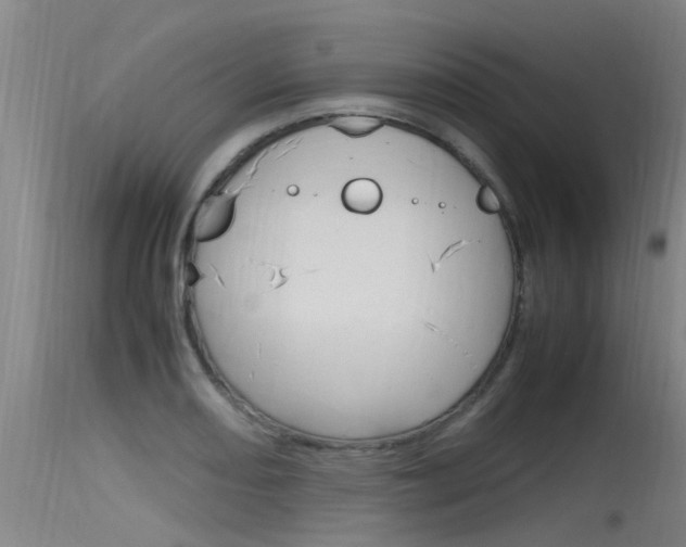 X0000115761082200911130954