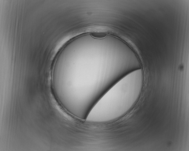 X0000115761083200911130954
