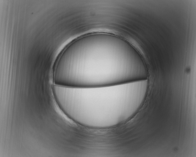 X0000115761084200911130954