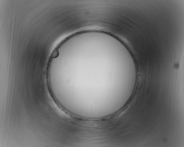 X0000115761086200911130954
