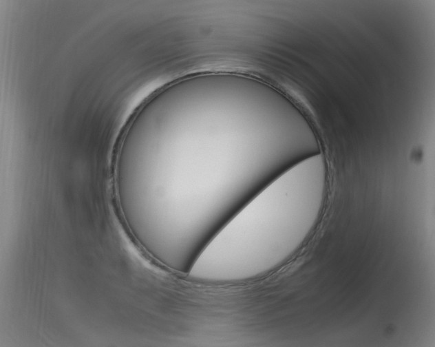 X0000115761087200911130954