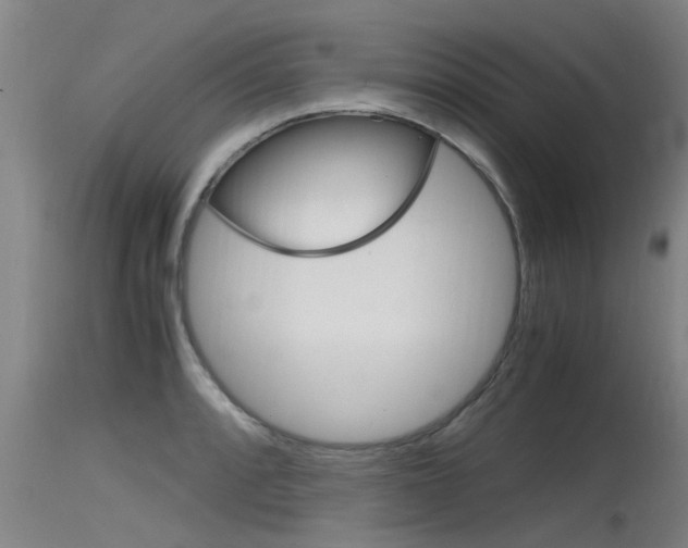 X0000115761088200911130954