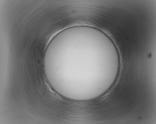 X0000115761089200911130954